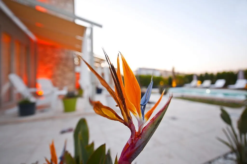 ** Oda ve Kahvaltı Sade Alacati Hotel Türkiye
